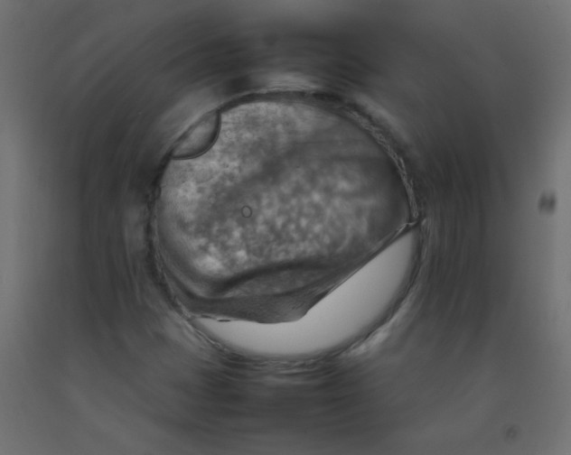 X0000092071401200710101009