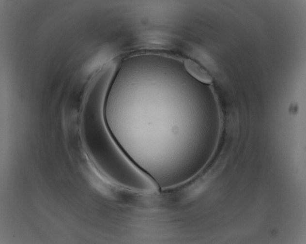 X0000092071402200710101009