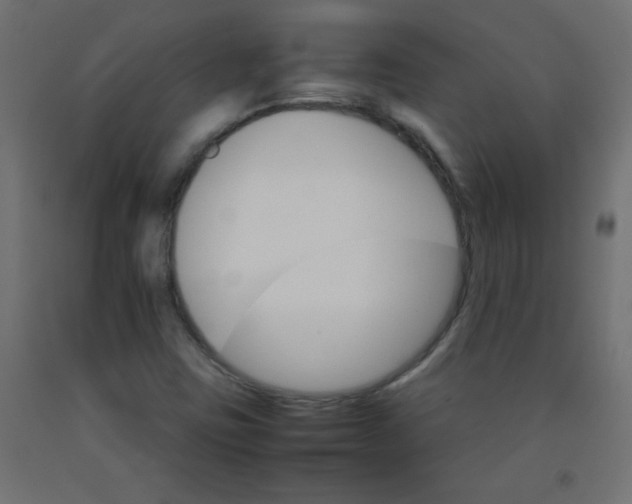 X0000092071403200710101009