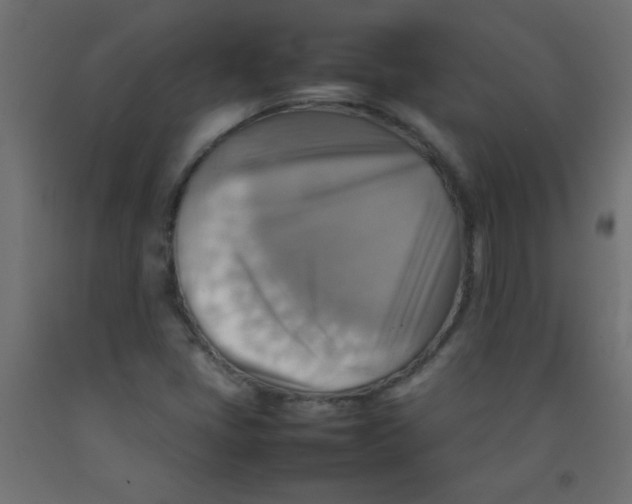 X0000092071405200710101009