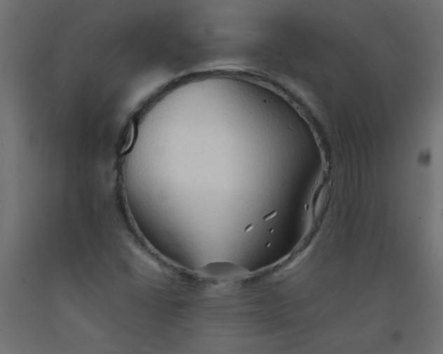 X0000092071406200710101009