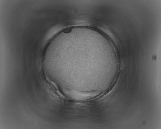 X0000092071407200710101009