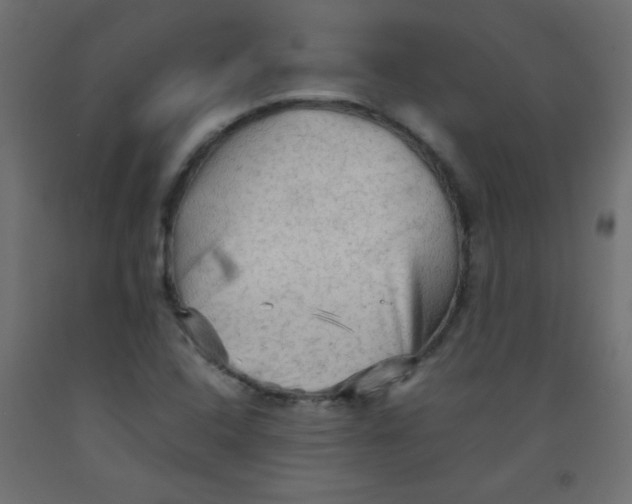 X0000092071408200710101009