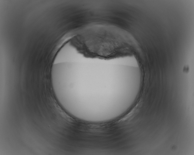 X0000092071409200710101009