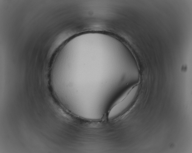X0000092071410200710101009