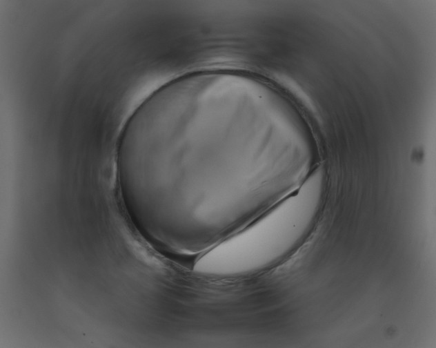 X0000092071413200710101009