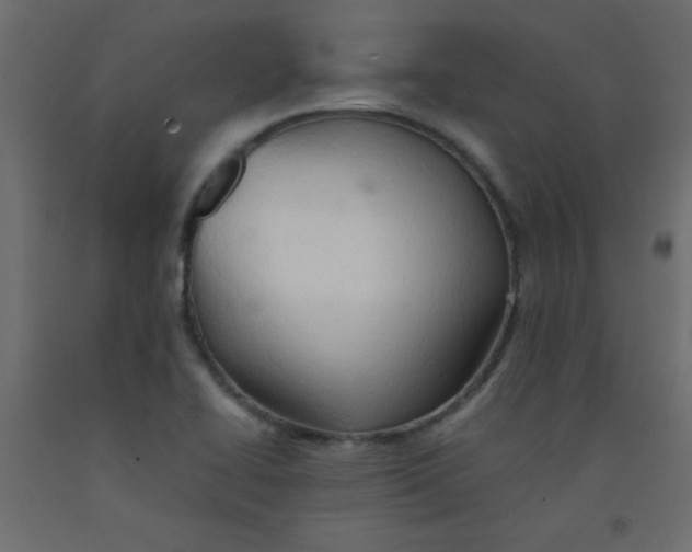 X0000092071414200710101009