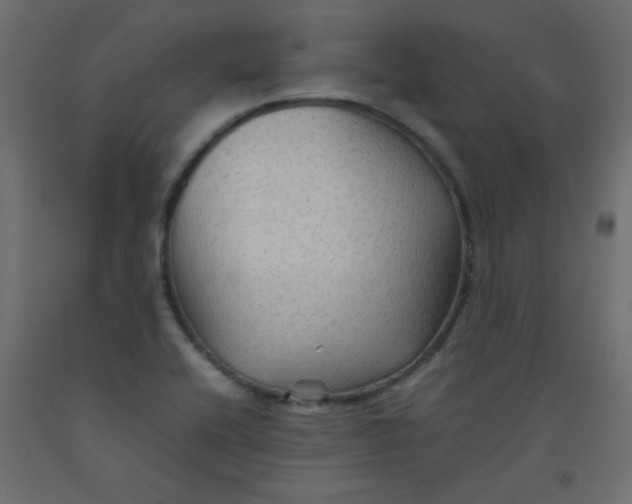 X0000092071416200710101009