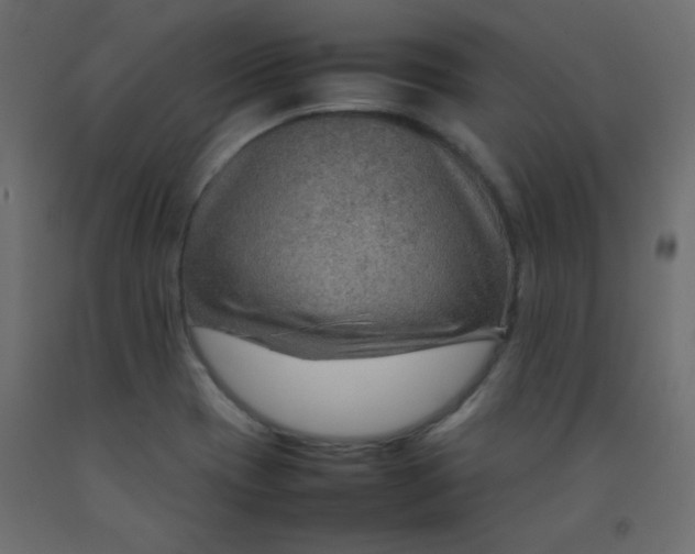X0000092071417200710101009