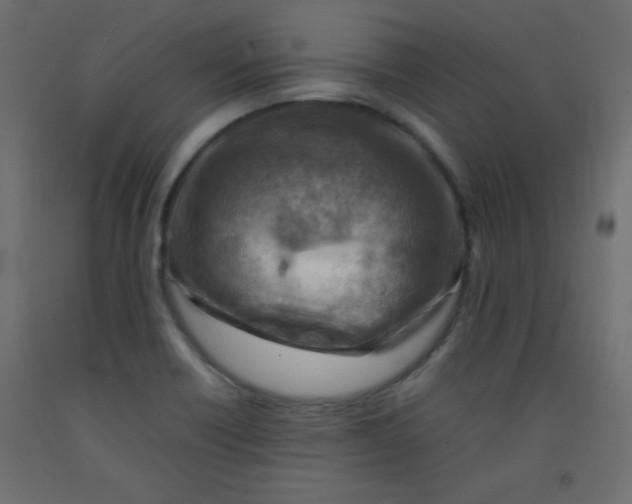 X0000092071418200710101009