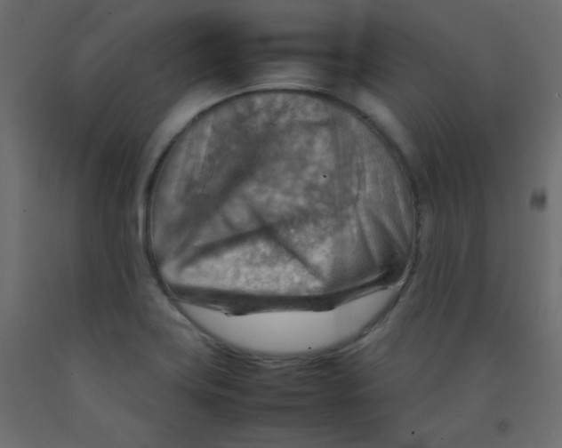 X0000092071419200710101009
