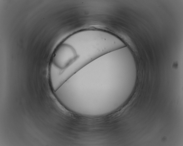 X0000092071420200710101009