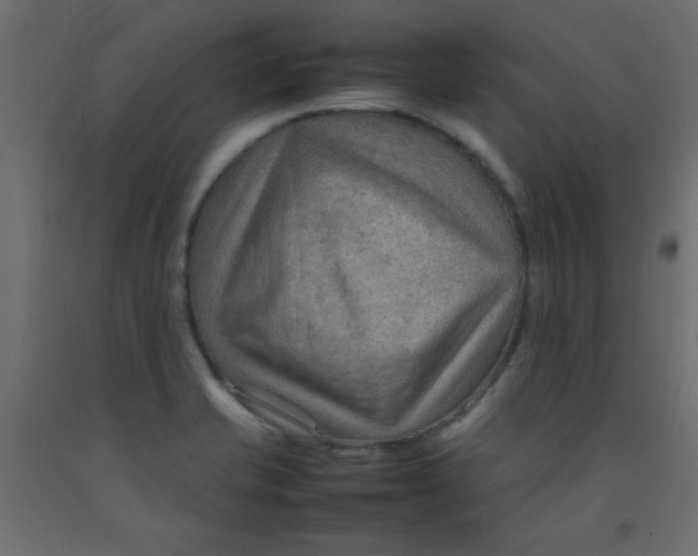 X0000092071421200710101009