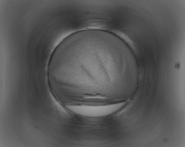 X0000092071423200710101009