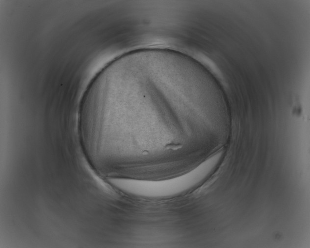 X0000092071424200710101009