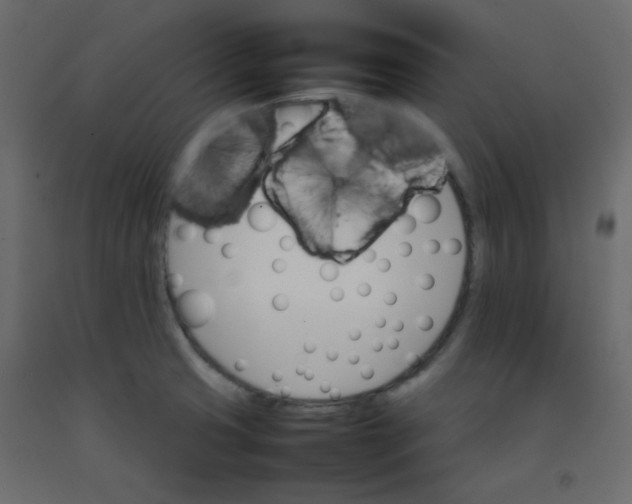 X0000092071425200710101009