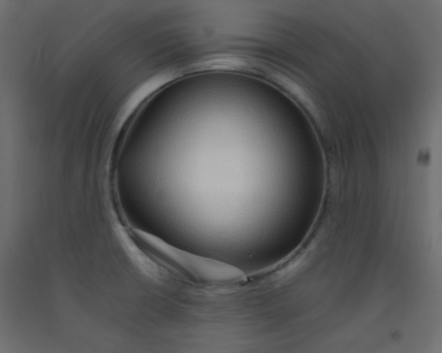 X0000092071426200710101009