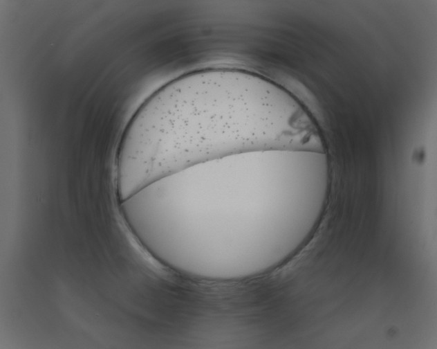 X0000092071428200710101009