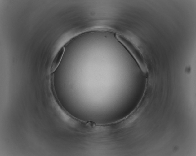 X0000092071430200710101009