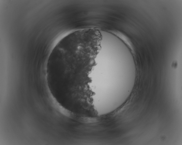 X0000092071431200710101009