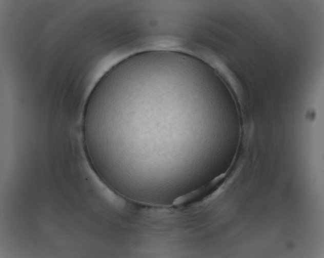 X0000092071432200710101009