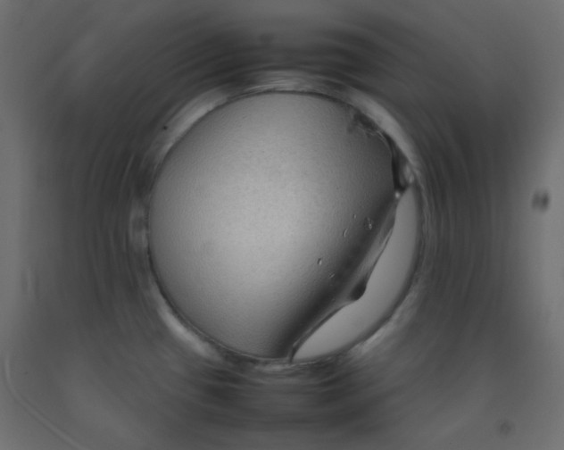 X0000092071433200710101009