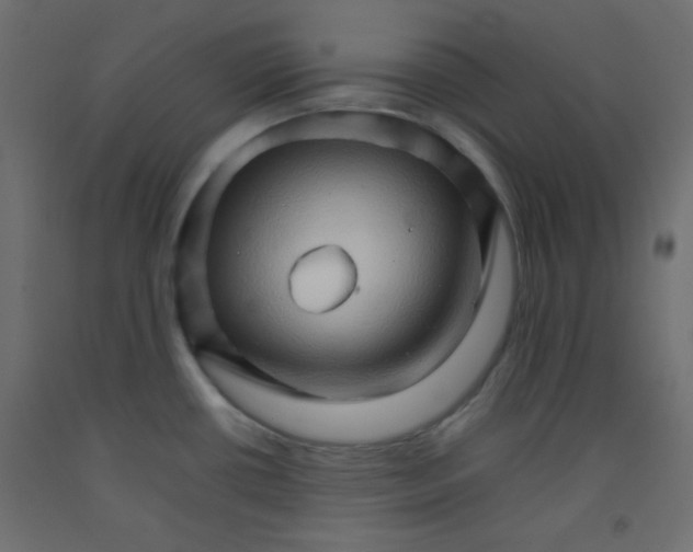 X0000092071434200710101009