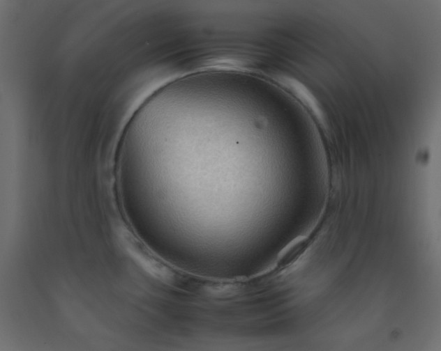 X0000092071435200710101009