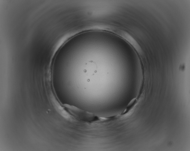 X0000092071436200710101009