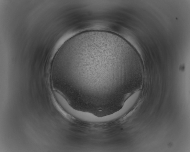 X0000092071437200710101009