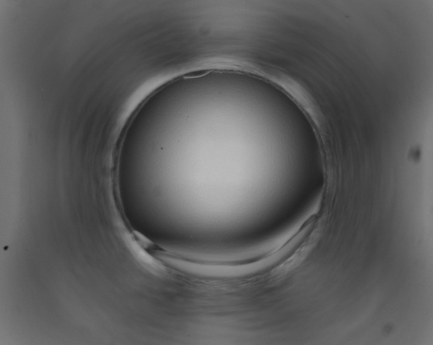X0000092071438200710101009
