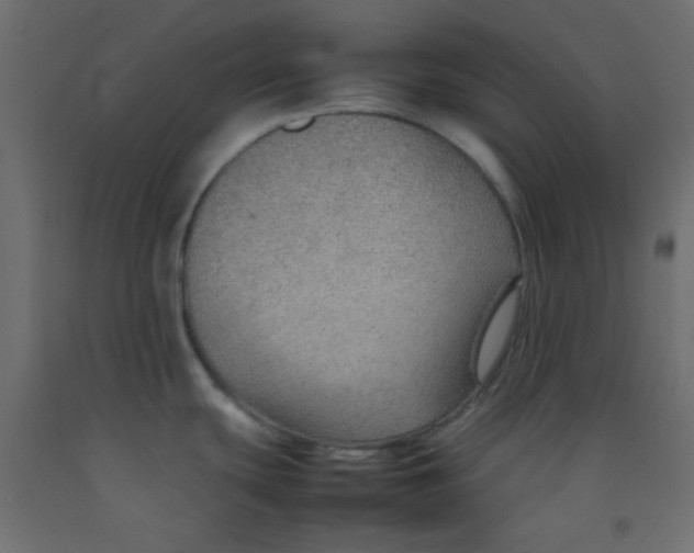 X0000092071439200710101009