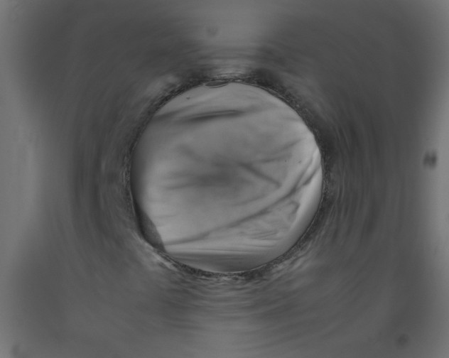 X0000092071441200710101008