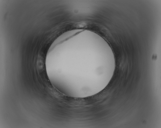 X0000092071442200710101008