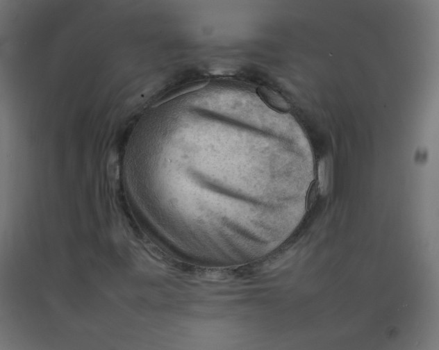 X0000092071443200710101008