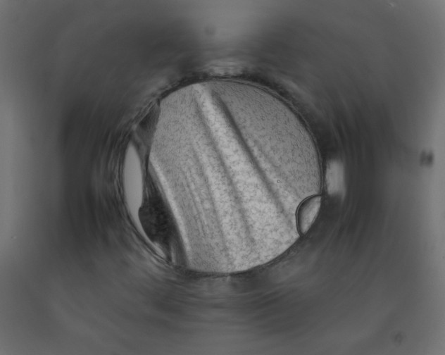 X0000092071444200710101008