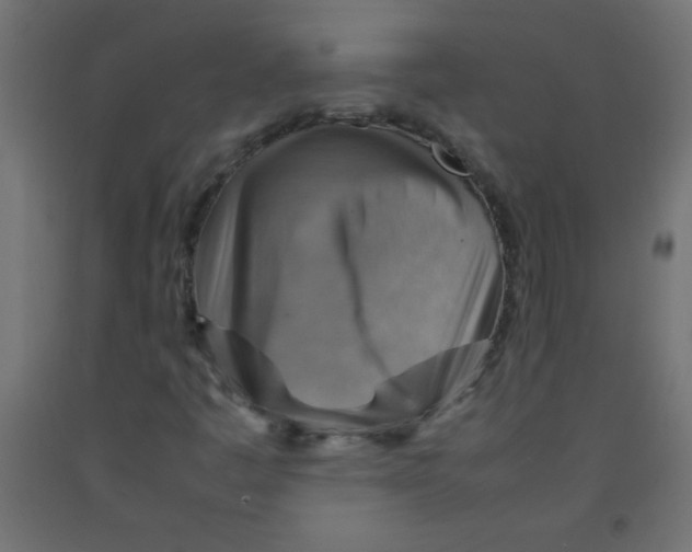 X0000092071445200710101008