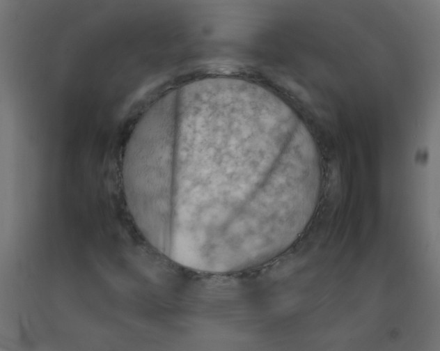 X0000092071446200710101008