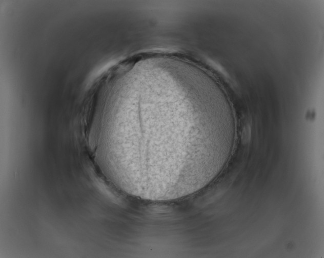 X0000092071448200710101008
