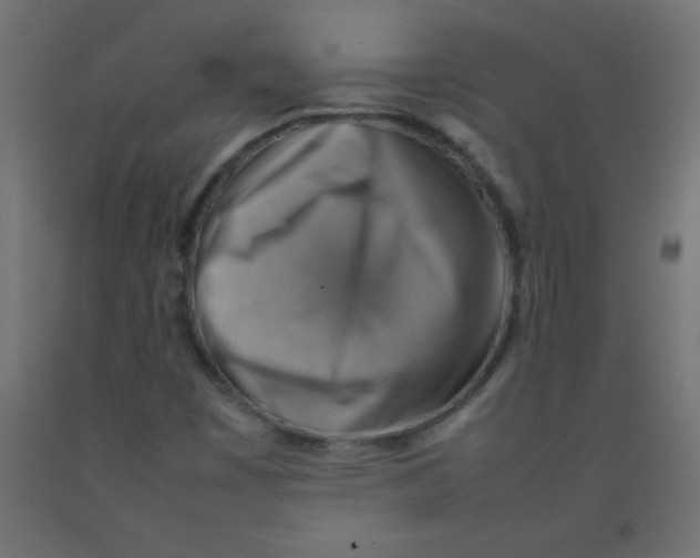 X0000092071449200710101008