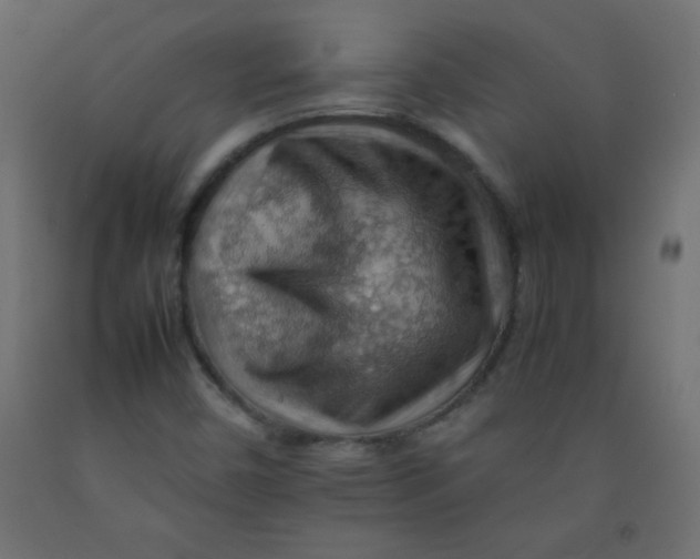 X0000092071450200710101008