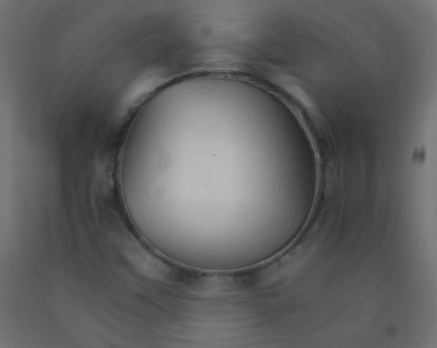 X0000092071451200710101008
