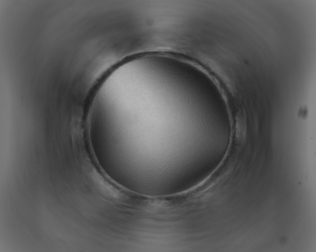 X0000092071452200710101008