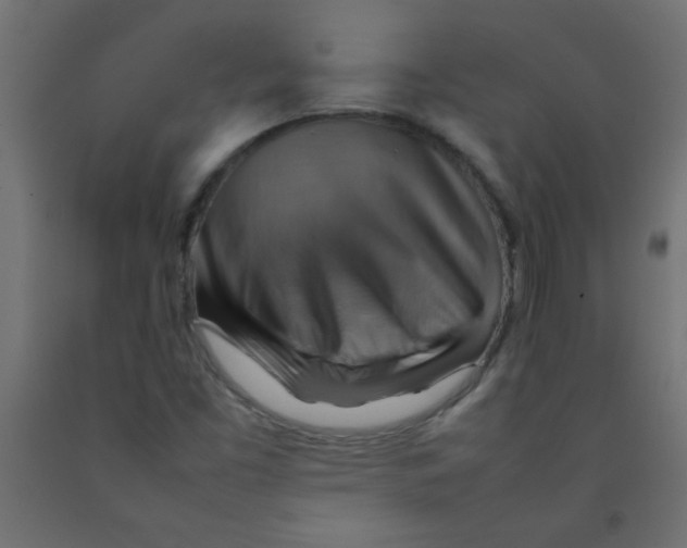 X0000092071453200710101008