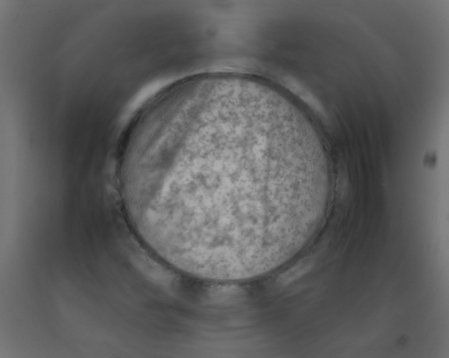 X0000092071454200710101008