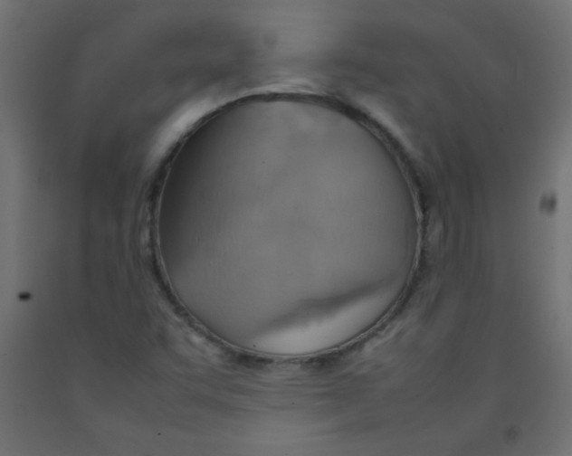 X0000092071455200710101008