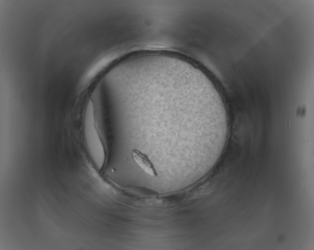 X0000092071456200710101008