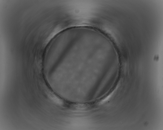X0000092071457200710101008