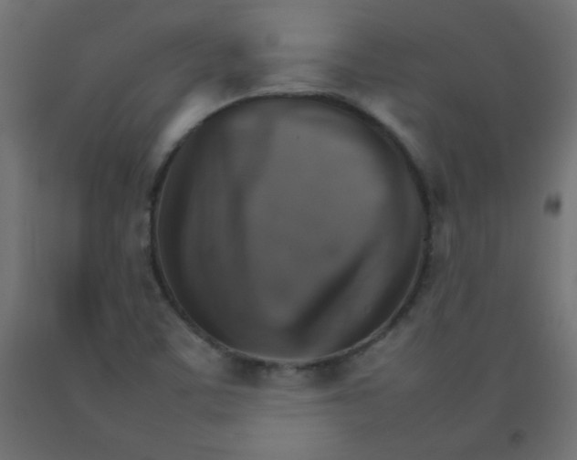X0000092071459200710101008