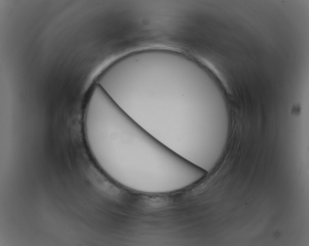X0000092071460200710101008